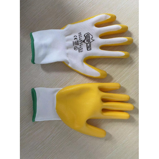 Ascgloves